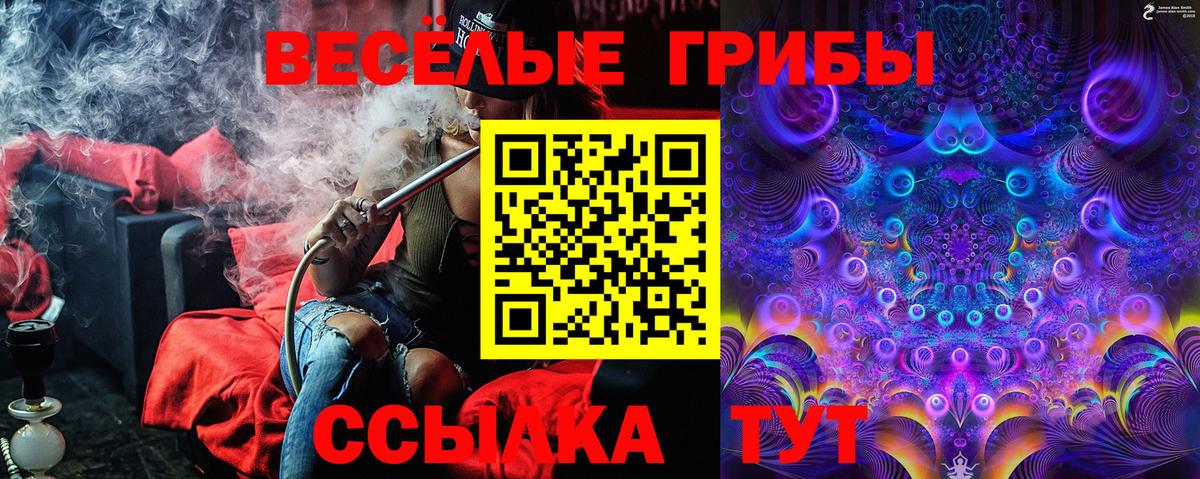 Торжок  Галлюциногенные грибы мицелий  Псилоцибиновые грибы прущие грибы  Вход с VPN 